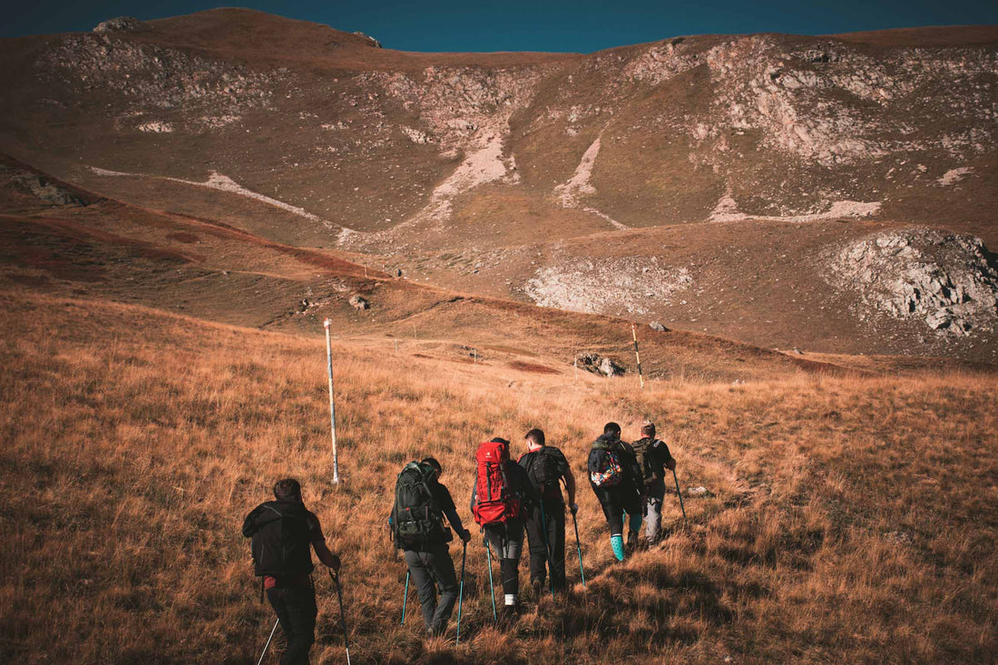 LiFirst: Where Exploration Meets Unbreakable Connection - LiFirstPOWER
