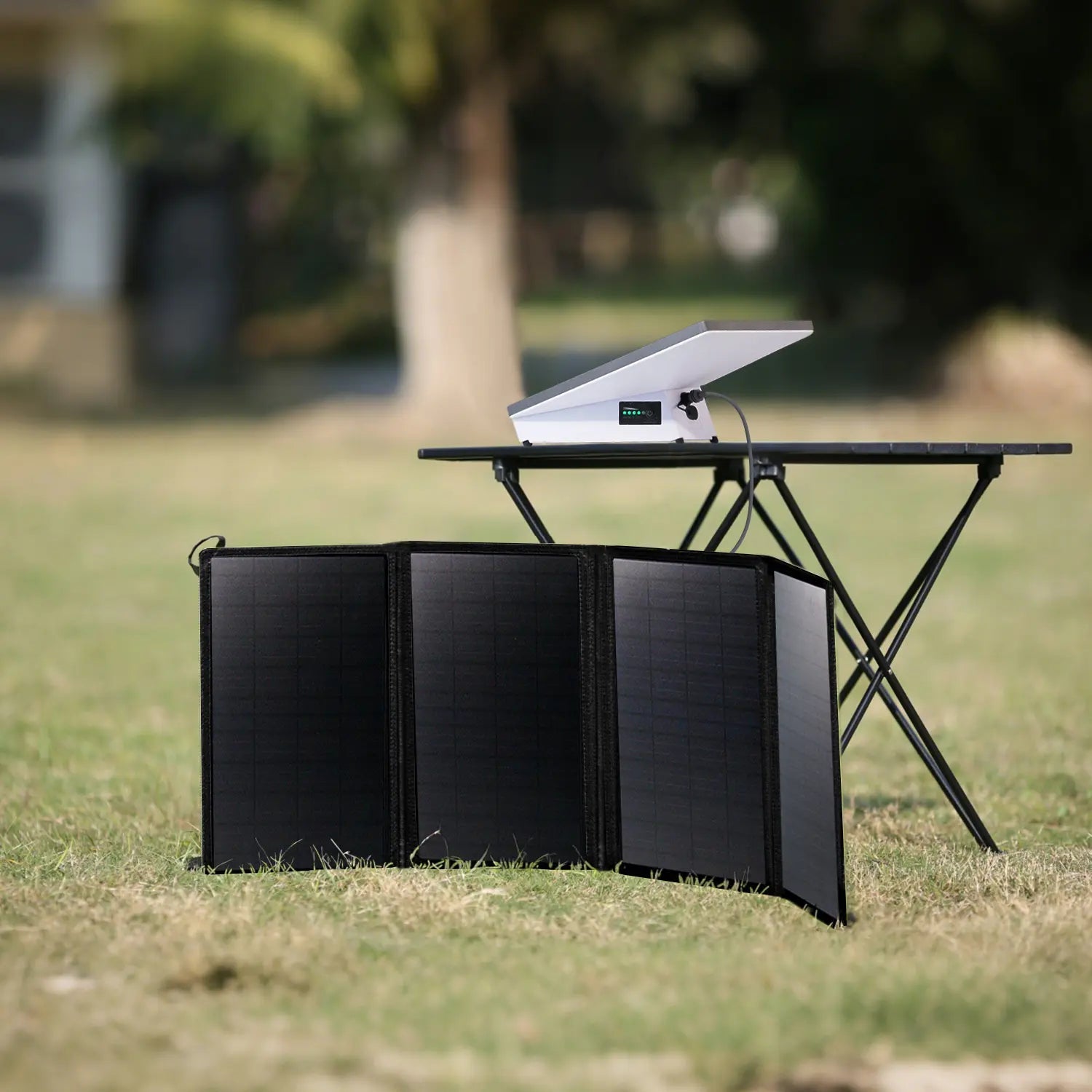 Starlink Mini Power Kit｜180 Wh Battery + 36 V 60 W Efficient Solar Panel - LiFirstPOWER